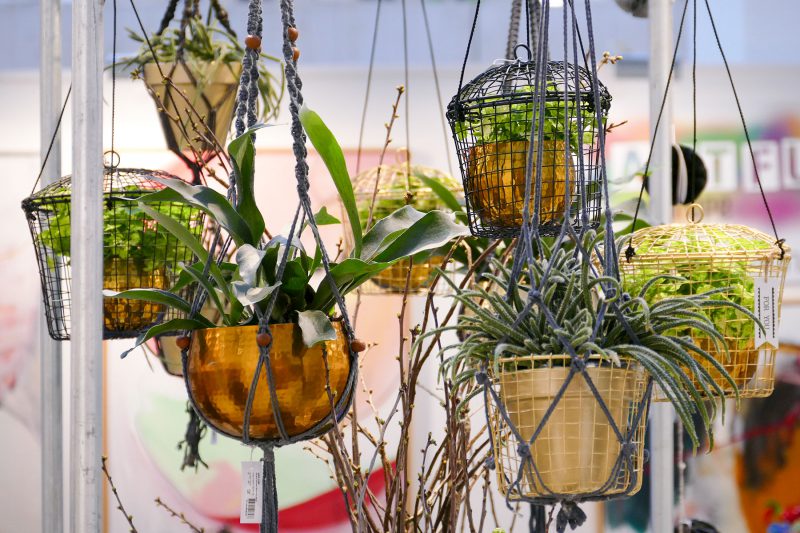 ambiente_2016_6