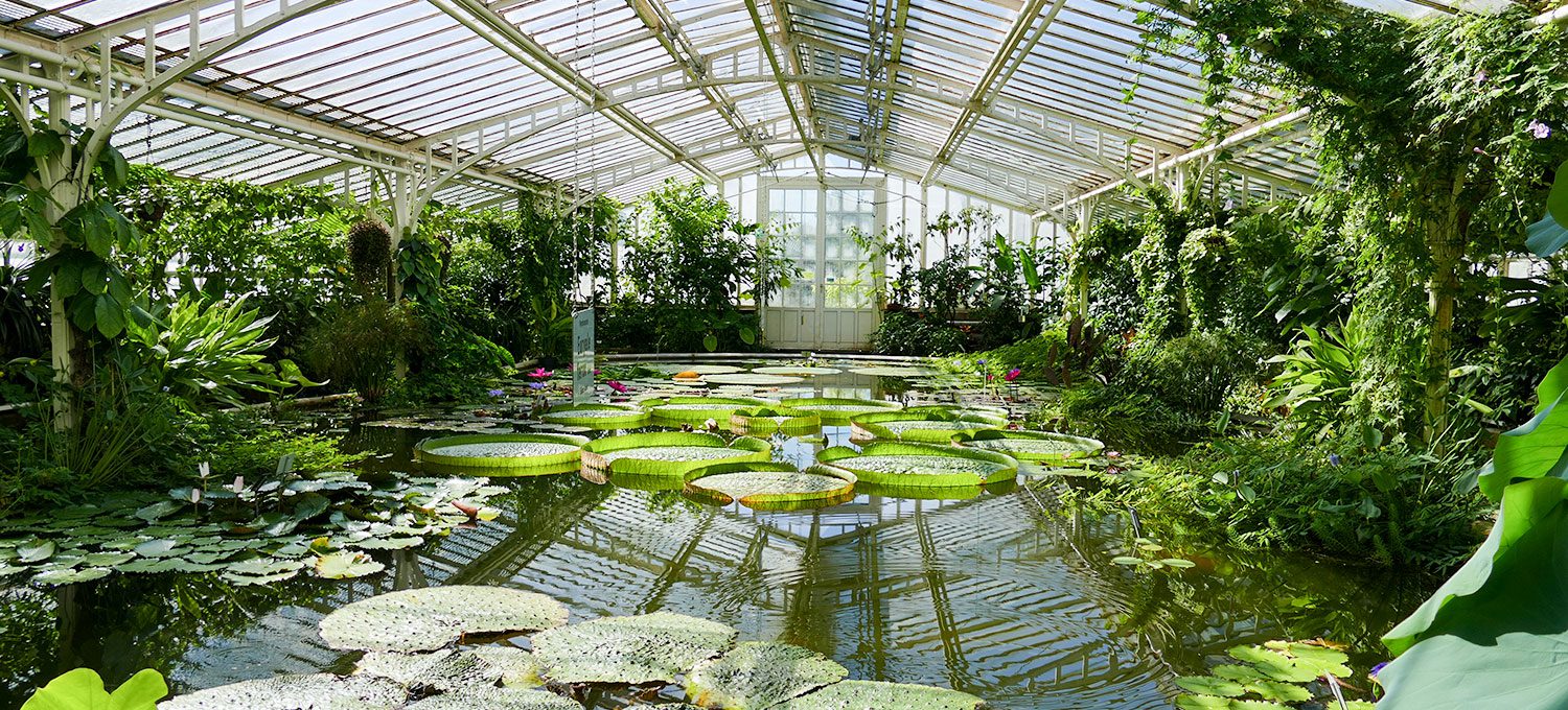 Besuch Im Botanischen Garten Und Dem Schloss Nymphenburg In Munchen Velanga